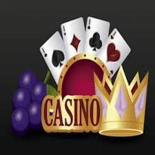 54bet app